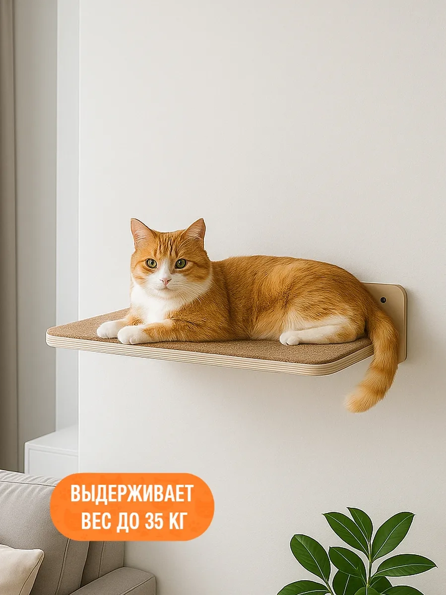 Go Cats Duvara Montajlı Kedi Yatağı Rafı 183179082