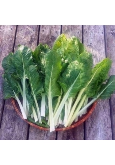 Geniş Yaprak Pazı Tohumu 100+ Tohum N118452