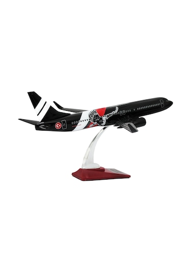Zekupp Boeing 737-800 1/100 Ölçek Siyah Kartal Tasarımlı Maket Uçak
