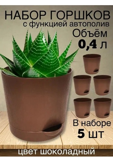 Interm Kaktüs Saksısı Minik Succulent, Menekşe Ve Çiçekler İçin Saksı 133193596