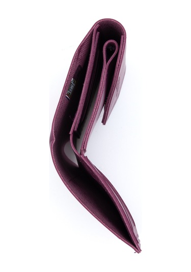 U.s. Polo Assn. Kadın Mor Cüzdan 50317054-vr038 Mor