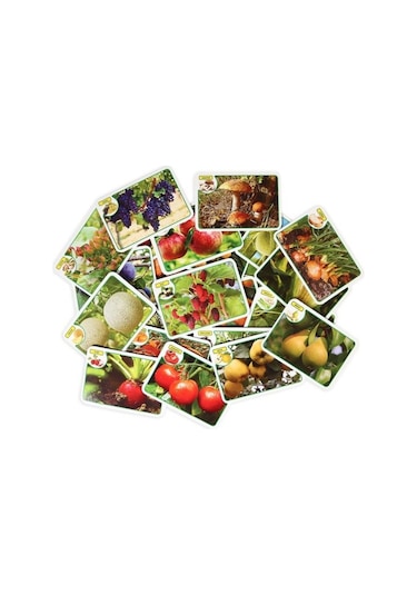 Diytoy Diy-Toy 3'Lü Hafıza Ve Flash Kartı