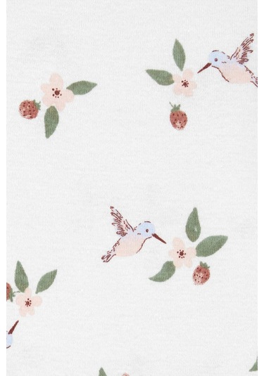 Carter's 1N680510 Kız Bebek 5'li Body Set Çok Renkli