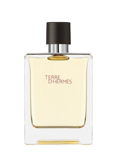 Hermes Terre D'Hermes Erkek Parfüm EDT 100 ML