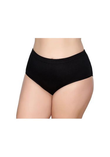 12 Adet Gümüş Bayan Renkli Ribana Bato Külot 3041 001