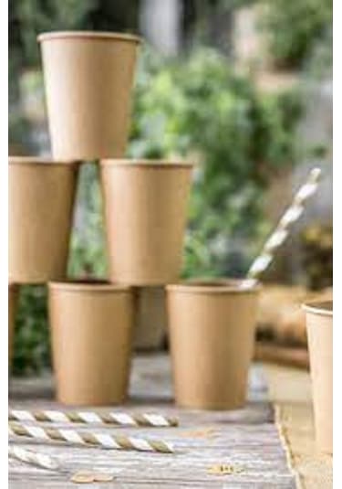 Organik Karton Bardak14 Oz 20 Adet