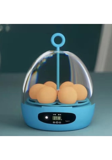 Diğer Suntek Mini 6 Yumurta Kuluçka Makinesi Hatcher Usb-otomatik-mavi