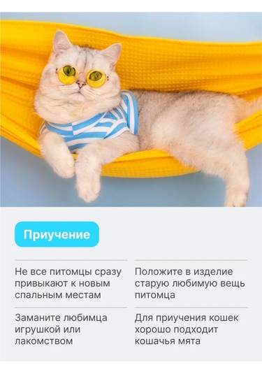 Rıch Breed Kedi Ve Küçük-orta Boy Irk Köpekler İçin Yumuşak Yuva 305423823