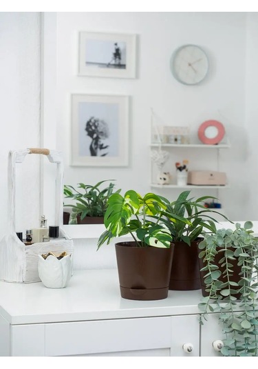 Ho'me Kökten Sulama Çiçek Saksısı 5 Adet 1 Litre Hacimli 168569874