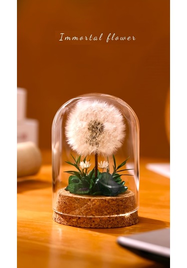 Mantar Tabanlı Sonsuz Karahindiba Cam Kubbe Süsü Kırmızı