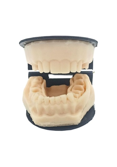 Barışhan Medikal Silikon Çene Diş Dikiş Modeli Ortodontik Alt Üst Çene Periodontal Sütür Eğitim Modeli-1