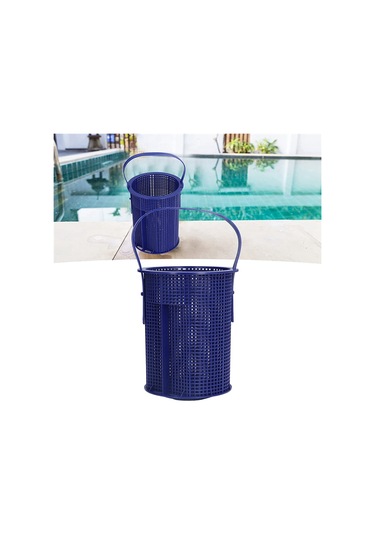 Pentair 355318 İçin Yüzme Havuzu Skimmer Yedek Sepeti