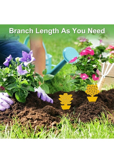 Vkemall 100 Adet Çift Taraflı Meyve Sinek Tutanı - Bitki Zararlısı Engelleme, Toksik Olmayan, Su Geçirmez, Kolay Kullanım 5 Farklı Desen: Kelebek, Havuç, Köpek, Çam, Baykuş