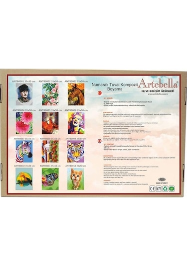 Artebella Numaralı Tuval Kompozit Boyama Antb0004 "Çiçek" 35X50 C