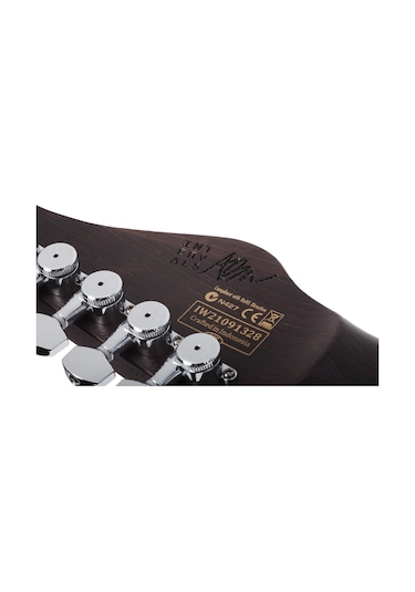 Schecter Aaron Marshall Am-6 Trem Elektro Gitar Arctic Jade