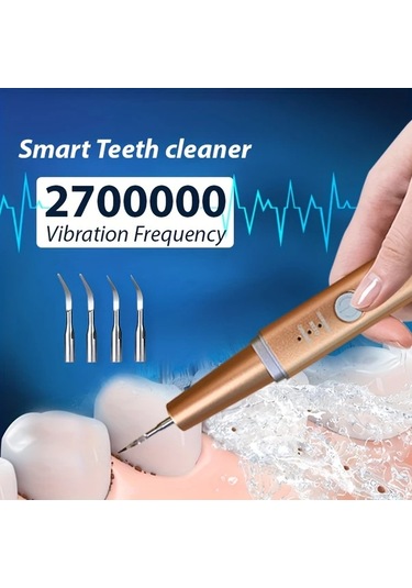 Willowhaven Golden Evde Kullanım İçin 3 Modlu 4 Metal Başlı Led Aydınlatmalı Elektrikli Diş Temizleyici Seti