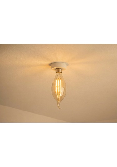 10 Adet Cata Ct 4062 4w Led Flament Ampul 3200k Günışığı E14 Duy