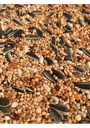 Vivid Pareket Yemi 1 KG