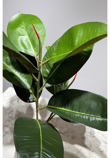 Mermer Geometrik Saksıda 2 Dal Yapay Ficus Elasticos Kauçuk Ağacı Çiçeği 75 Cm Karışık