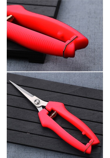 Ruicoo Paslanmaz Çelik Bahçe Makası - Meyve Toplama Ve Budama İçin Kilitli Pruner 112 Karakter