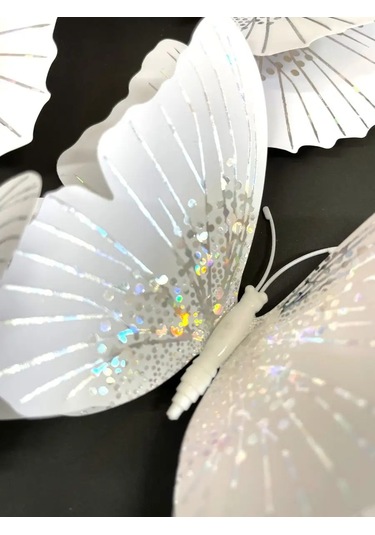 Damani 3byarılgıç Duvar Dekoru İçin Duvar Çıkartmaları 152180537 Gri