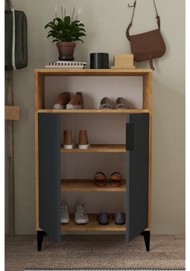 1204 Ada Ayakkabılık 4 Raflı 2 Kapaklı Çok Amaçlı Dolap Antrasit Safir Antrasit Safir