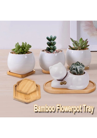 Round-9cm-pot Stander Ev Dekorasyon Succulents Bonsai Tutucu Yuvarlak Kare Altıgen Dikdörtgen Saksı Tabanı Bambu Ahşap Tepsi