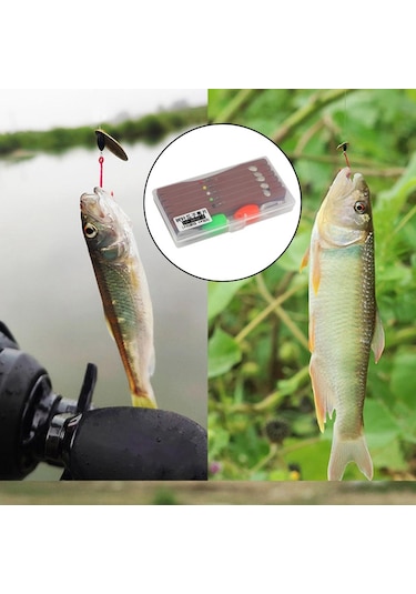 Homyl Bağlı Sinekler Seti Yapay Yem Balıkçılık Cazibesi A