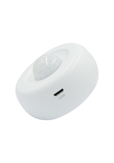 RXR P-32-WF RXR Kablosuz Wi-Fi PIR Hareket Dedektörü