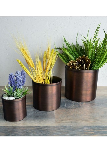 Shark Anatolia Bahar Saksı 3'lü Takım