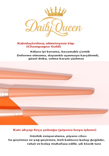 Daily Queen Yüksek Kalite 11 Li Şanpanmay Renk Makyaj Fırça Seti