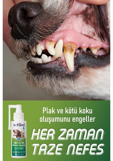 Veturel Kedi Köpek Göz Ağız Kulak Uyuzu Enfeksiyon Koku Giderici Bakım Seti 3 x 100 ML