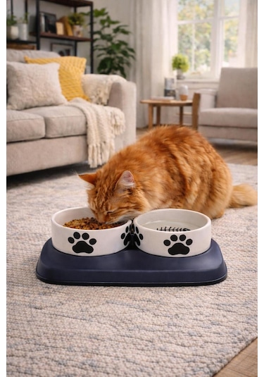 Premium Yükseltilmiş İkili Seramik Kedi Mama Ve Su Kabı