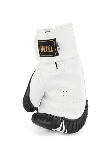 Titan Sport Siyah Beyaz İşlemeli Boks Eldiveni Çok Renkli