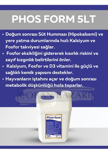 Royal Phos Form Kanatlılarda Gagalama, Amino Asit Desteği İle Gelişim 5 Lt