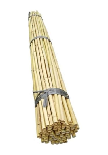 Fidan Destek Çubuğu Kamış ucu Sivriltilmiş 80-90 Cm 25 Adet