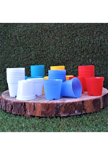 Kaktüs Saksısı 5,5X5 Cm Kaktüs Sukulent Üretim Saksıları Renk Seç