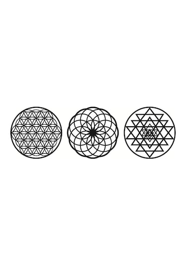 Yaşam Çiçeği Sri Yantra Torus Nefesi Üçlü Tablo