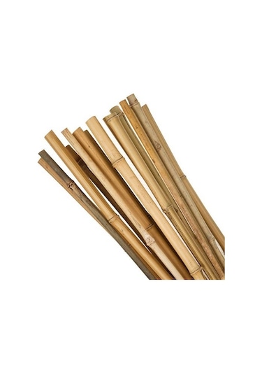 Bambu Çubuk Bitki Destek Çubuğu 50'Li 8 Mm x 120 Cm