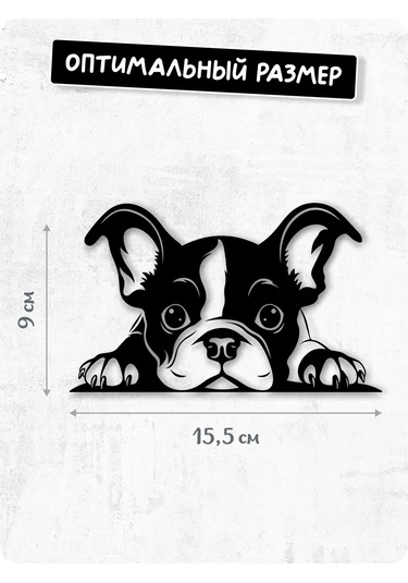 Stadi Dikkat Eden Köpek Etiketi 200702513 Siyah