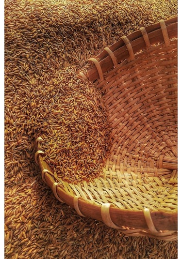 Granül Üre Gübresi %46 Azot 50 Kg