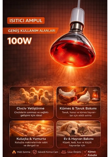 100w Isıtıcı Ampul Kırmızı Isı Lambası Civciv Kümes Kuluçka E27 Duy Isıtma Ampulü 1