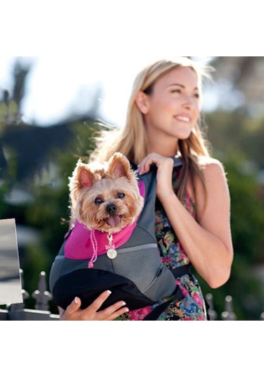 Jeemson Küçük Evcil Hayvanlar İçin Dışarı Taşıma Sırt Çantası - Kafa Dışarı, Konforlu Seyahat Pembe, S Boyutu, 2kg'a Kadar Çok Renkli