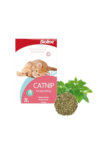 Bioline Catnip Doğal Kedi Nanesi 20 gr