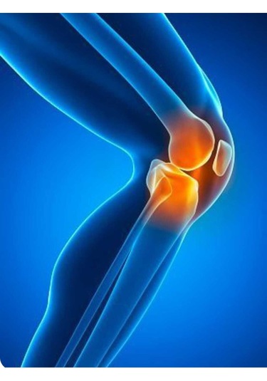 Cilton Çinar Yapraği Kremi Plane Leaf Cream 150 Ml