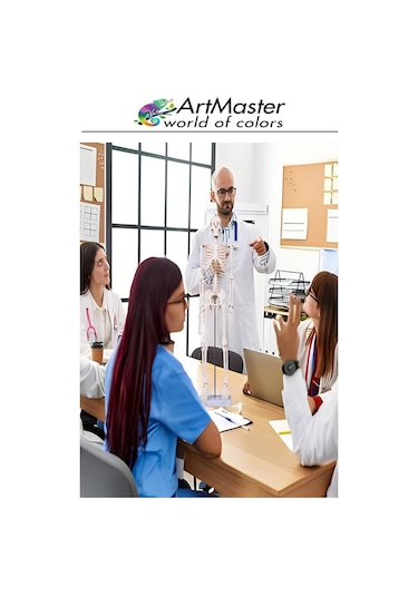 İskelet Sistemi Maketi 45 Cm 1 Adet İnsan İskelet Modeli Haraketli Eğitim İskelet Anatomisi İskelet Sistemi Fen Deney