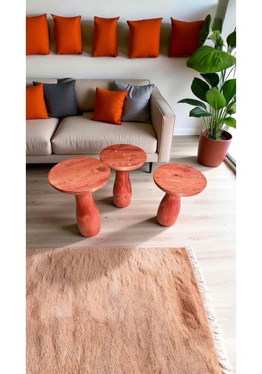 Maun Renkli Ahşap Mantar Sehpa 3lu Yan Sehpa Takımı