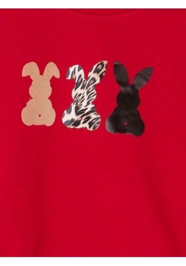 Kız Çocuk Pamuklu Orta Kalınlık Tavşan Baskılı Sweatshirt-14716 Kırmızı