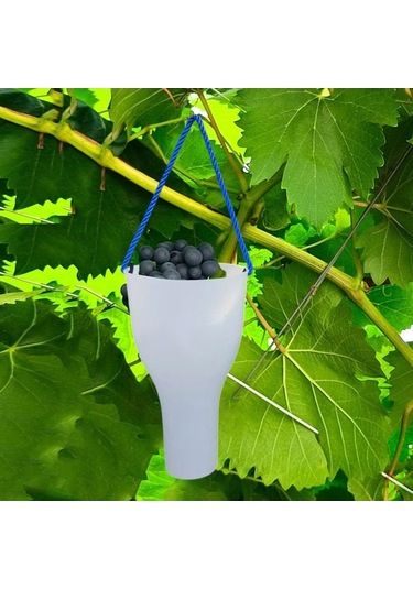 Pazly Yetiştirme Üzüm Suntek S Meyve Kabı Islatma Bakımı Jw