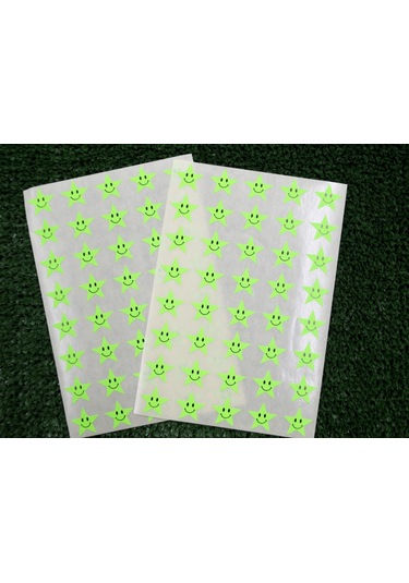 Tanex Tnx-302 Flo Yıldız Yeşil Gülen Etiketi 17 MM 80 Adet